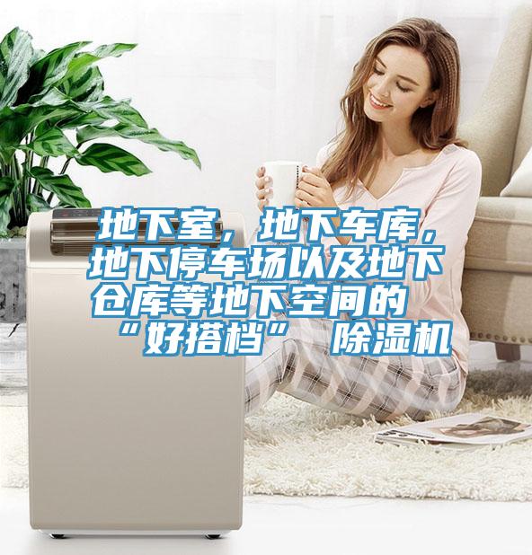 地下室，地下車庫，地下停車場以及地下倉庫等地下空間的“好搭檔” 除濕機