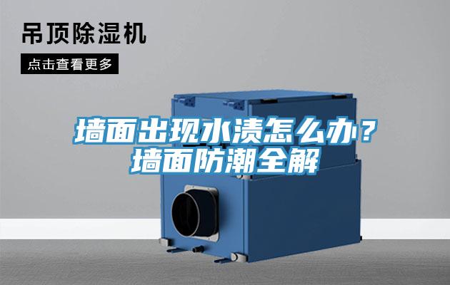 墻面出現水漬怎么辦？墻面防潮全解
