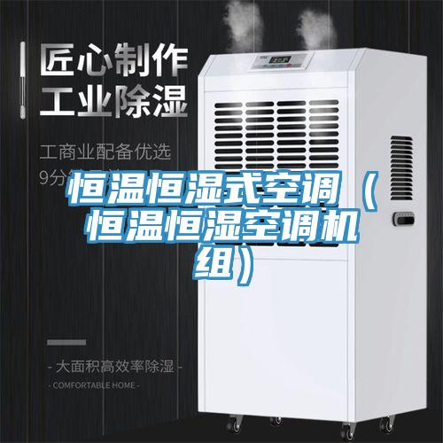 恒溫恒濕式空調（恒溫恒濕空調機組）