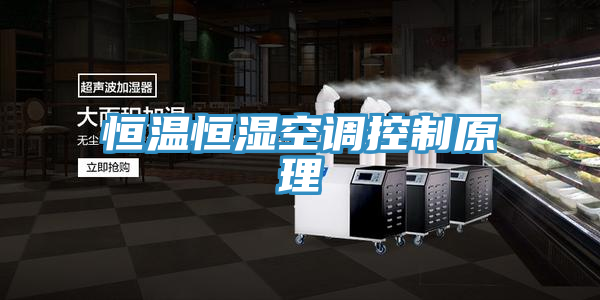 恒溫恒濕空調控制原理