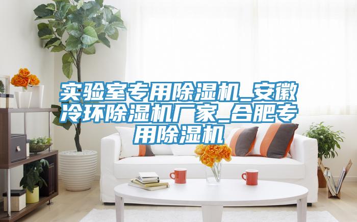 實驗室專用除濕機_安徽冷環除濕機廠家_合肥專用除濕機