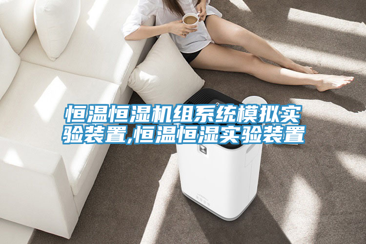 恒溫恒濕機組系統模擬實驗裝置,恒溫恒濕實驗裝置