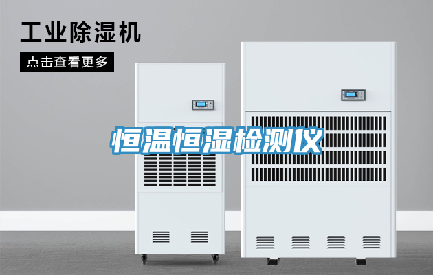 恒溫恒濕檢測儀