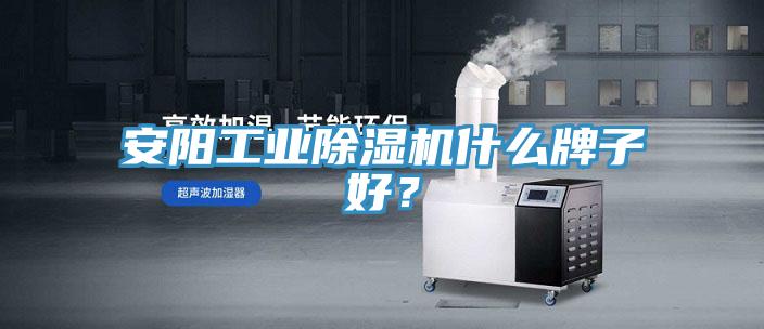 安陽工業除濕機什么牌子好？