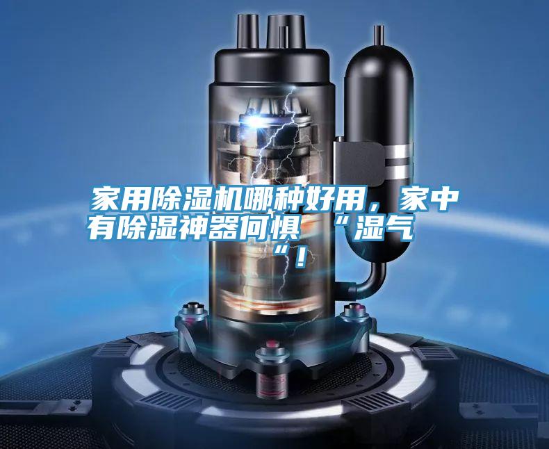 家用除濕機哪種好用，家中有除濕神器何懼 “濕氣 “！