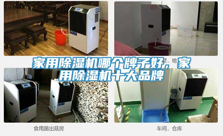 家用除濕機哪個牌子好，家用除濕機十大品牌