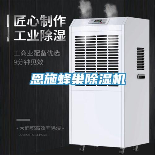 恩施蜂巢除濕機