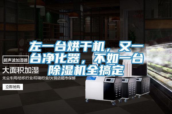 左一臺烘干機，又一臺凈化器，不如一臺除濕機全搞定