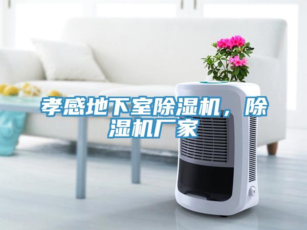 孝感地下室除濕機，除濕機廠家