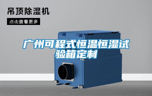 廣州可程式恒溫恒濕試驗箱定制