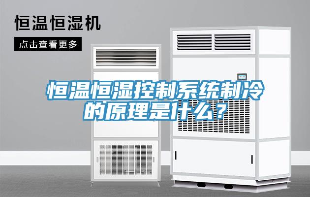 恒溫恒濕控制系統制冷的原理是什么？