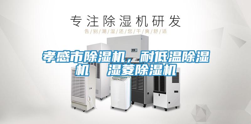 孝感市除濕機，耐低溫除濕機  濕菱除濕機