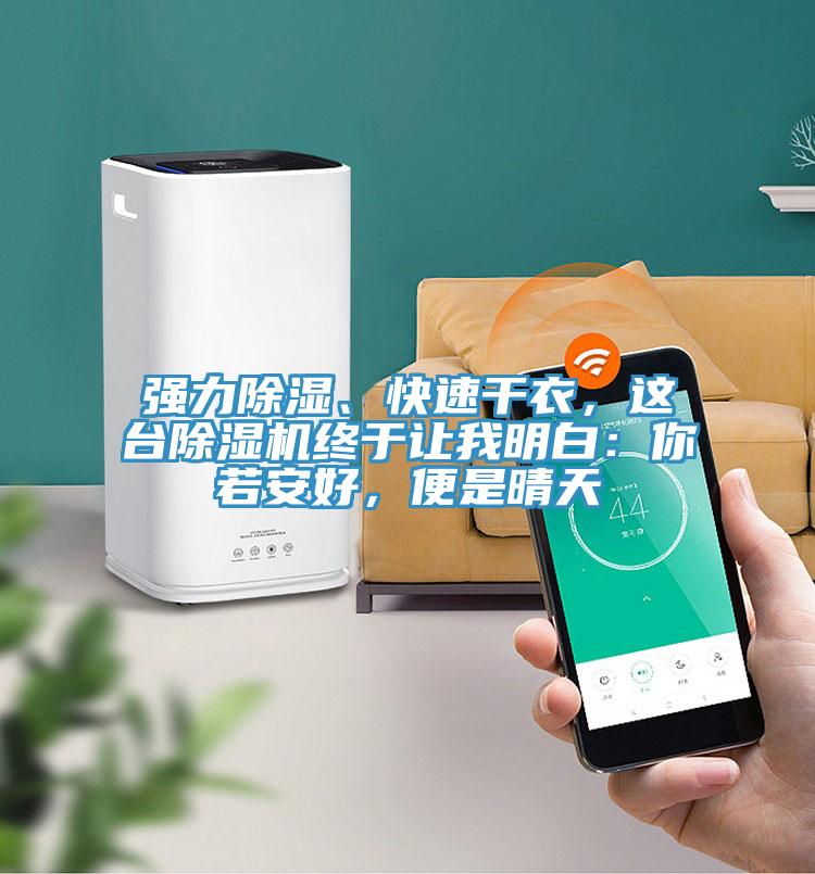強力除濕、快速干衣，這臺除濕機終于讓我明白：你若安好，便是晴天