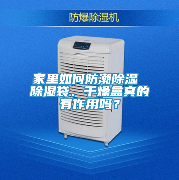 家里如何防潮除濕 除濕袋、干燥盒真的有作用嗎？