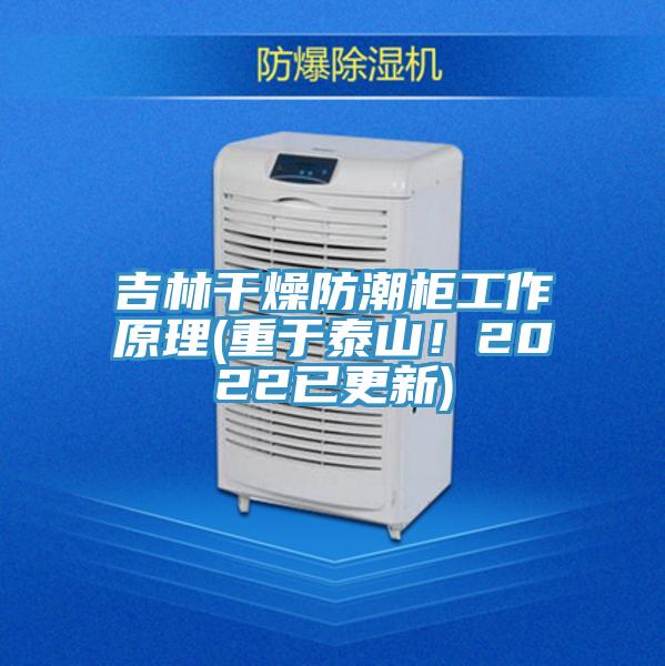 吉林干燥防潮柜工作原理(重于泰山！2022已更新)