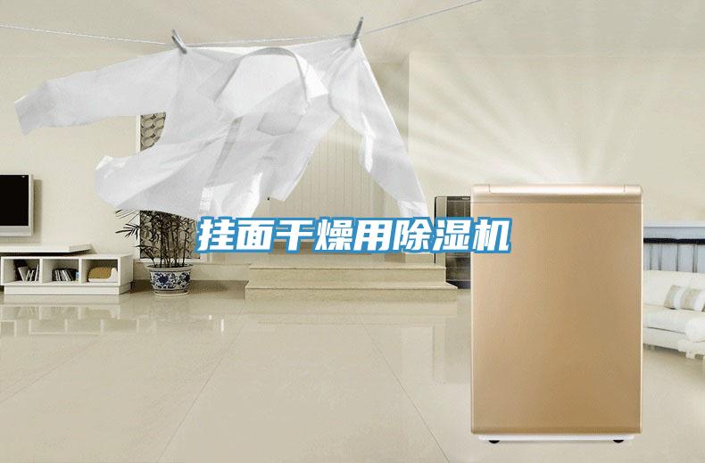 掛面干燥用除濕機