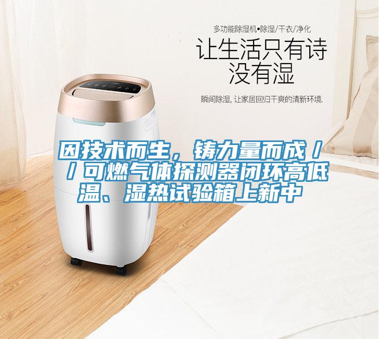因技術而生，鑄力量而成／／可燃氣體探測器閉環高低溫、濕熱試驗箱上新中