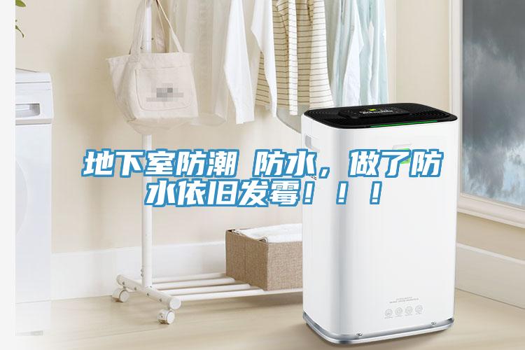 地下室防潮≠防水，做了防水依舊發霉?。?！