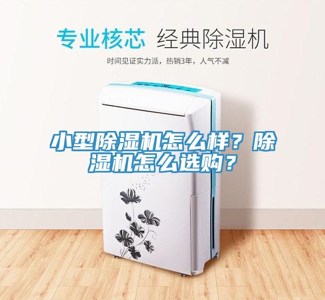 小型除濕機怎么樣？除濕機怎么選購？
