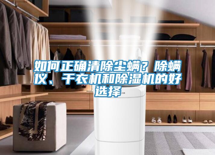 如何正確清除塵螨？除螨儀、干衣機和除濕機的好選擇