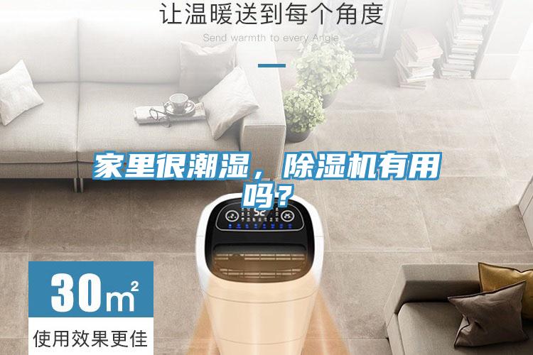 家里很潮濕，除濕機有用嗎？