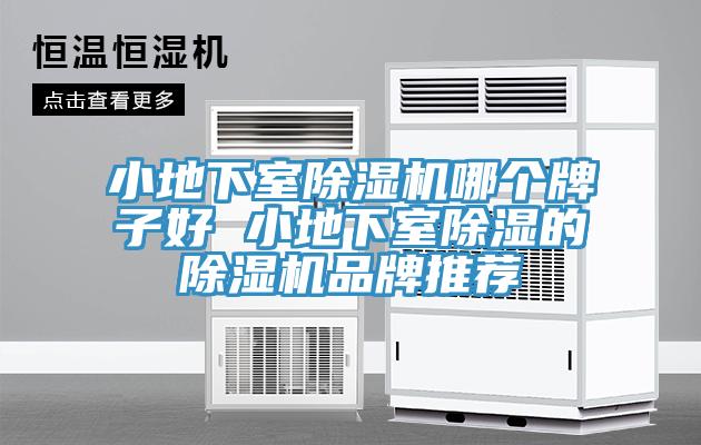 小地下室除濕機哪個牌子好 小地下室除濕的除濕機品牌推薦
