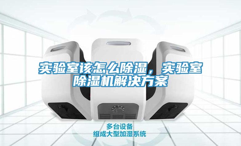 實驗室該怎么除濕，實驗室除濕機解決方案