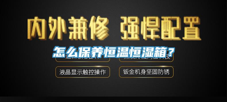 怎么保養恒溫恒濕箱？