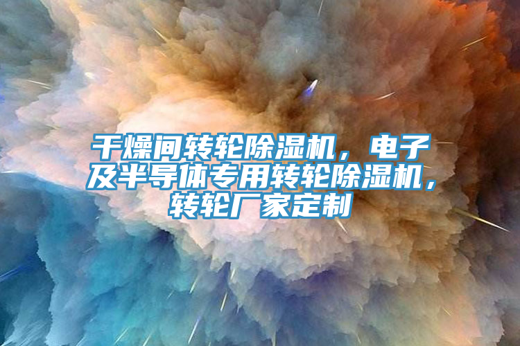 干燥間轉輪除濕機，電子及半導體專用轉輪除濕機，轉輪廠家定制