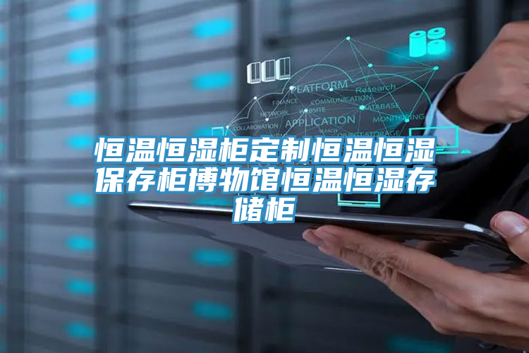 恒溫恒濕柜定制恒溫恒濕保存柜博物館恒溫恒濕存儲柜