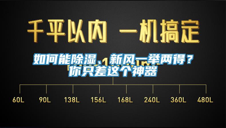 如何能除濕、新風一舉兩得？你只差這個神器