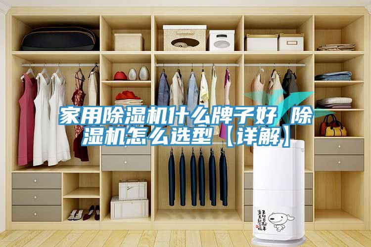 家用除濕機什么牌子好 除濕機怎么選型【詳解】