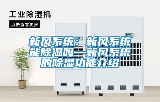 新風系統：新風系統能除濕嗎—新風系統的除濕功能介紹