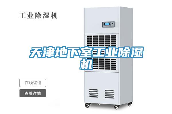 天津地下室工業除濕機
