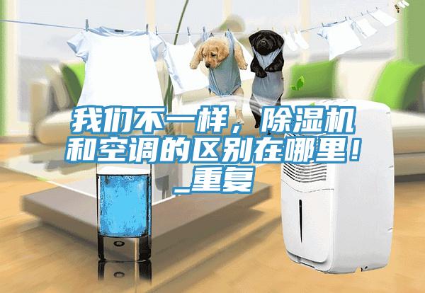 我們不一樣，除濕機和空調的區別在哪里！_重復