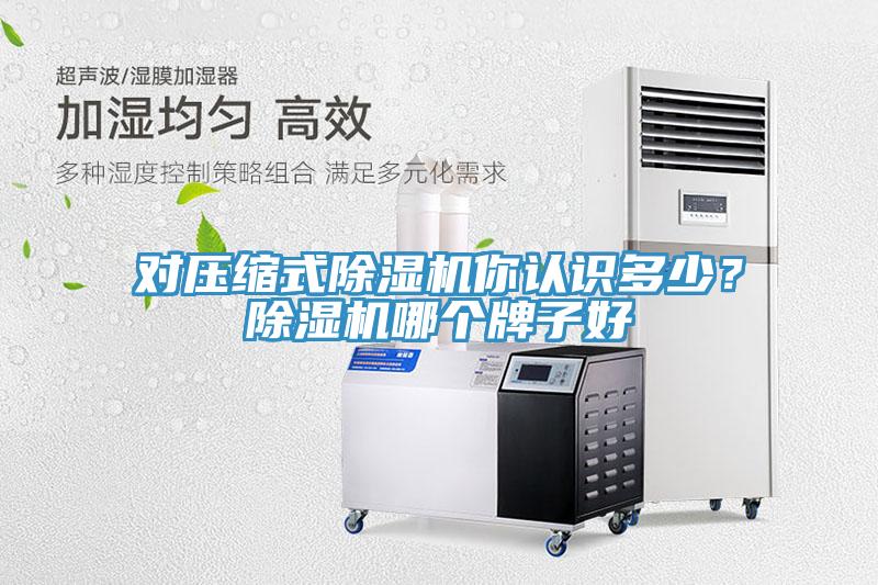 對壓縮式除濕機你認識多少？除濕機哪個牌子好