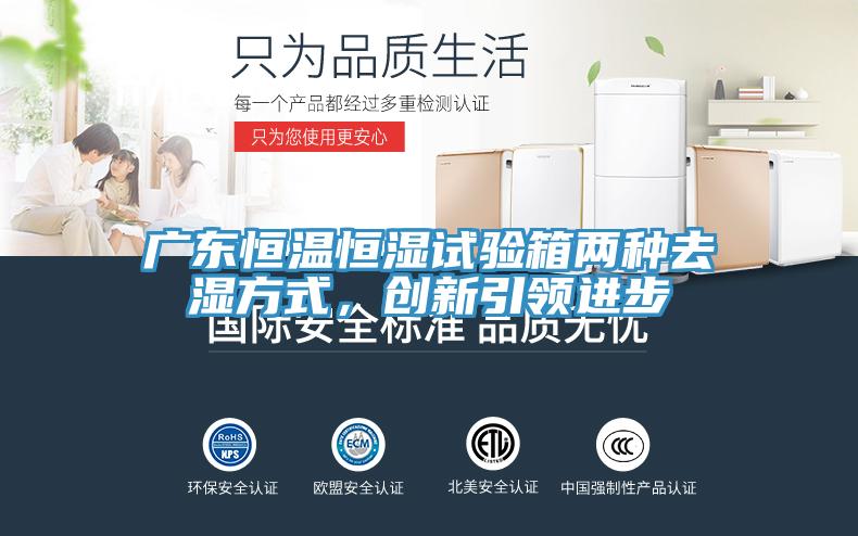 廣東恒溫恒濕試驗箱兩種去濕方式，創新引領進步