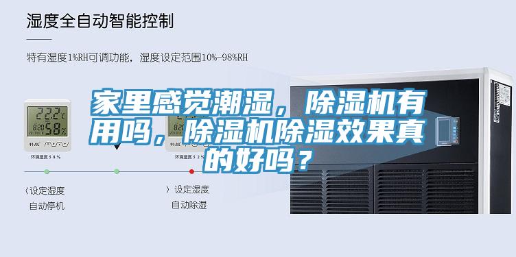 家里感覺潮濕，除濕機有用嗎，除濕機除濕效果真的好嗎？