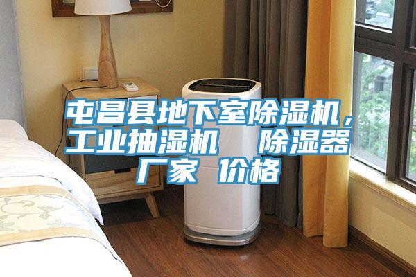 屯昌縣地下室除濕機，工業抽濕機  除濕器廠家 價格