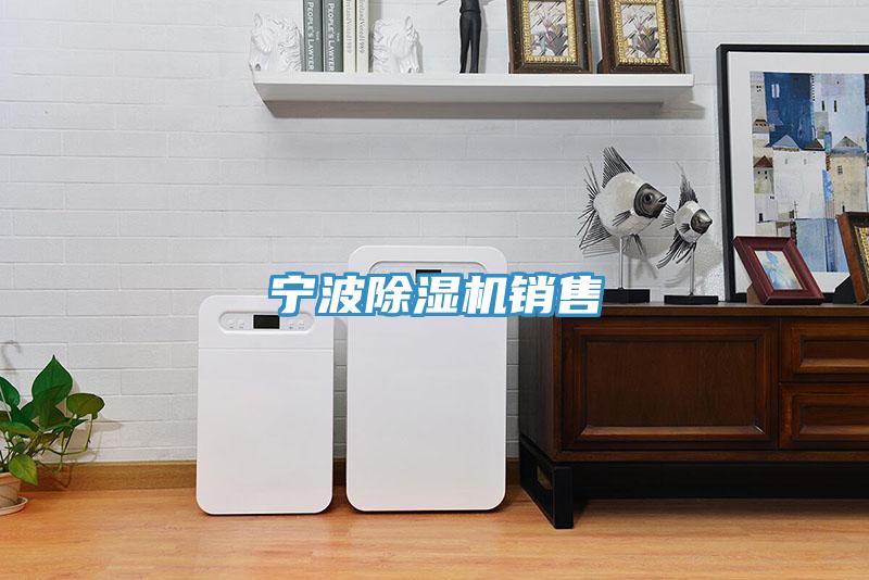 寧波除濕機銷售