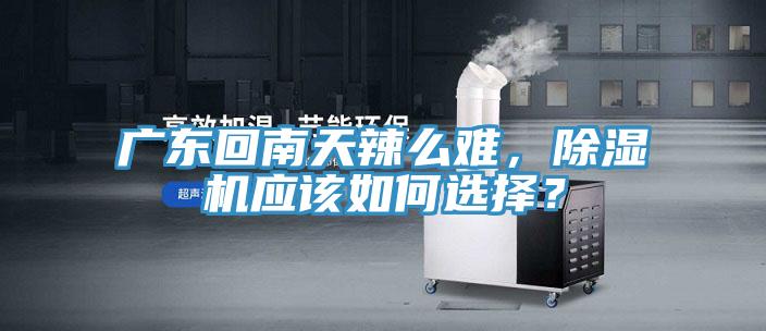 廣東回南天辣么難，除濕機應該如何選擇？