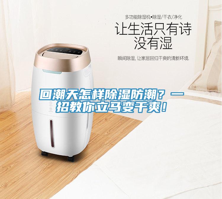 回潮天怎樣除濕防潮？一招教你立馬變干爽！