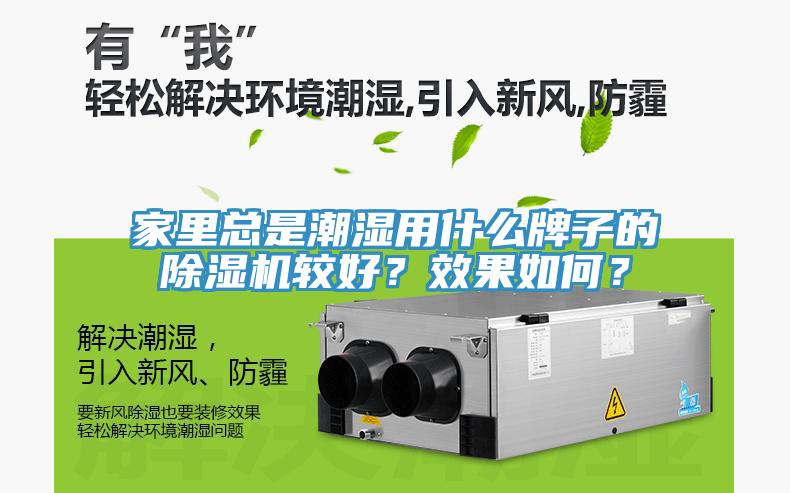 家里總是潮濕用什么牌子的除濕機較好？效果如何？