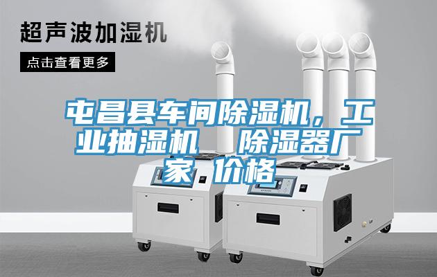 屯昌縣車間除濕機，工業抽濕機  除濕器廠家 價格