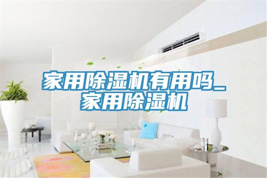 家用除濕機有用嗎_家用除濕機