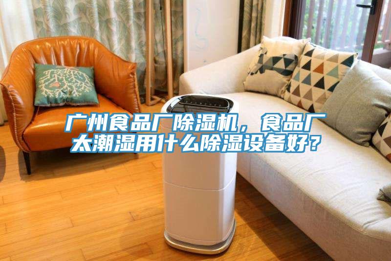 廣州食品廠除濕機，食品廠太潮濕用什么除濕設備好？