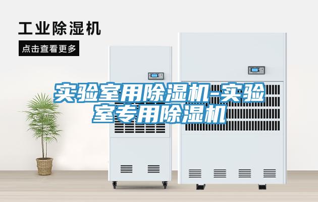 實驗室用除濕機-實驗室專用除濕機