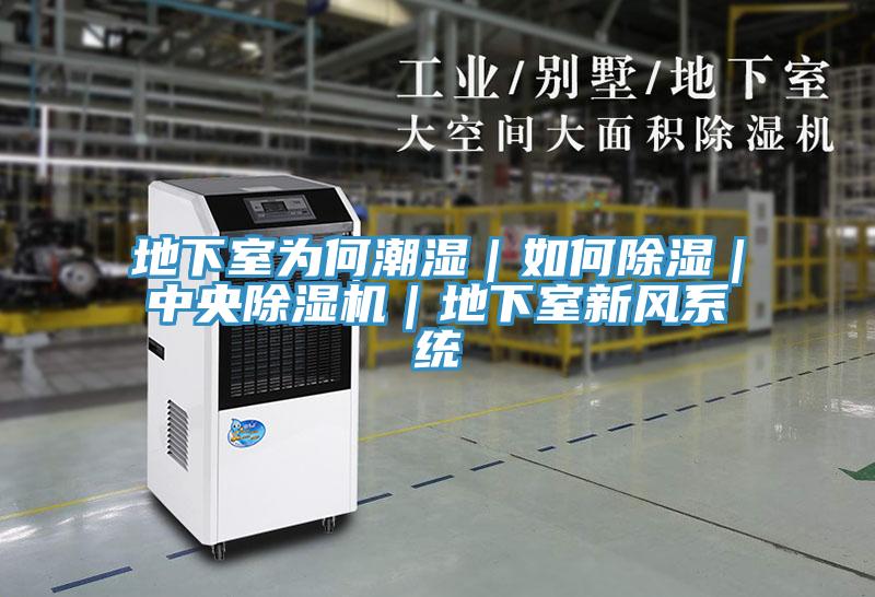 地下室為何潮濕｜如何除濕｜中央除濕機｜地下室新風系統