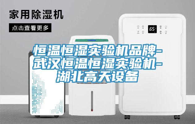 恒溫恒濕實驗機品牌-武漢恒溫恒濕實驗機-湖北高天設備