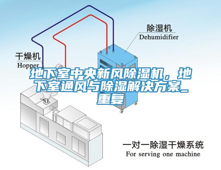 地下室中央新風除濕機，地下室通風與除濕解決方案_重復